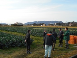 灘分地区でのブロッコリーほ場視察の様子