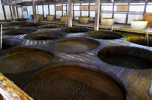 【写真】甘露醤油資料館