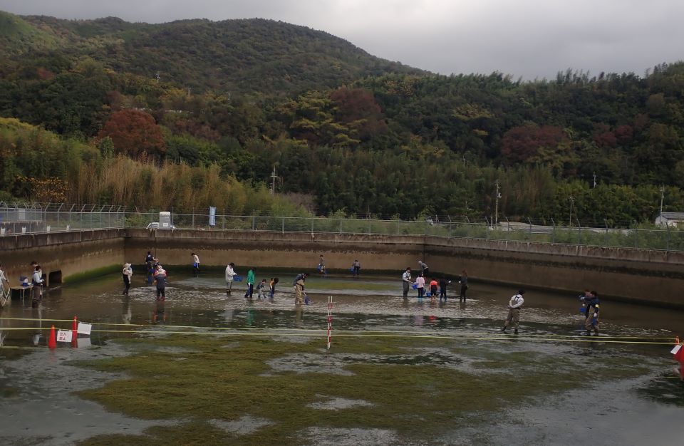 遠景写真