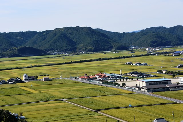 『秋の千町平野』【岡山県瀬戸内市邑久町】