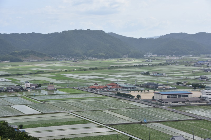 初夏の千町平野【岡山県瀬戸内市邑久町】