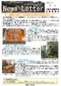 収穫真っ盛り！東広島市安芸津町大芝島のびわ