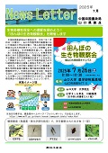山口ニュースレター７月