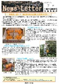 広島ニュースレター７月