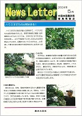 徳島24.5月