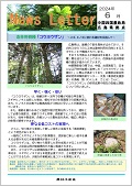 広島24.6月