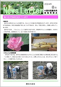 徳島24.8月