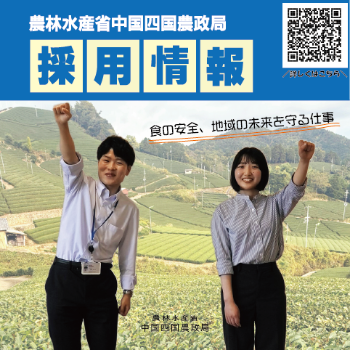 採用情報