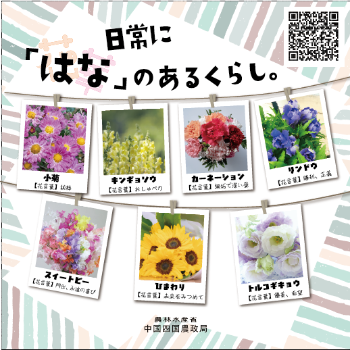 中国四国地域の花き