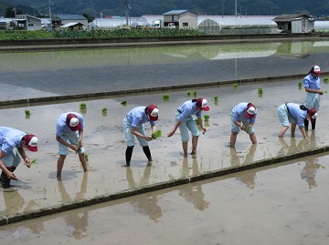生徒が手植えをする様子