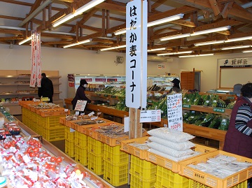 新商品が並ぶはだか麦コーナーの様子
