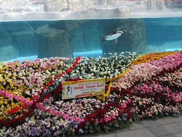 とべ動物園ペンギン舎水槽前に設置されたフォトフレーム