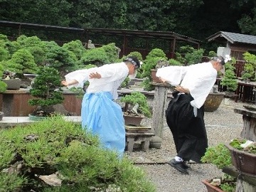 盆栽たいそうをおどる土居高生