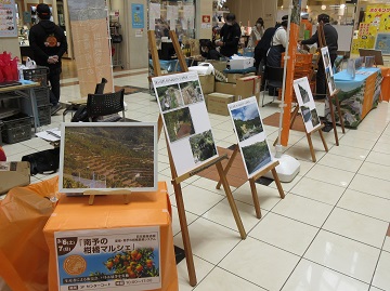 西日本豪雨災害の復興状況パネル展示の様子