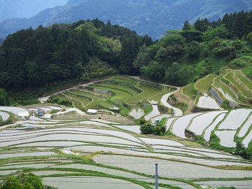 すり鉢状の谷間に広がる棚田