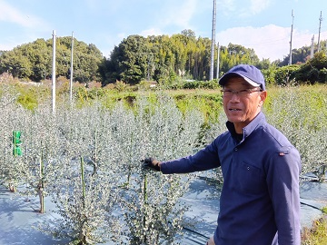 グニーユーカリと上松氏