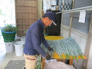 厳しい目で選別・調製します