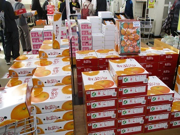 JA 直売所「太陽市」の様子