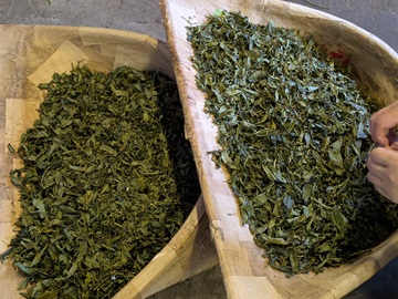 乾燥処理された茶葉