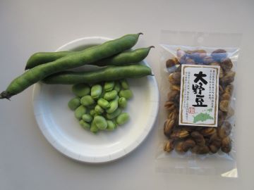 収穫した大野豆と加工品