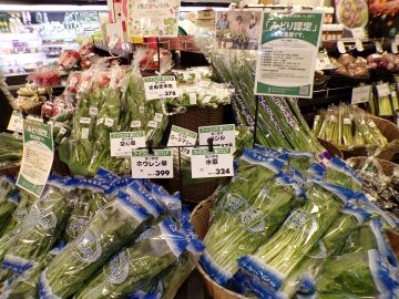 みどり認定者の野菜コーナー