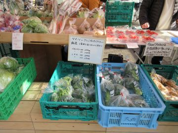 ブースに並べられた野菜