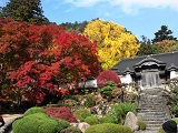 大窪寺の紅葉