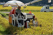 親子で「うどん工場の見学とちょっと得する食べ物の話」～夏休み！わくわく工場見学！