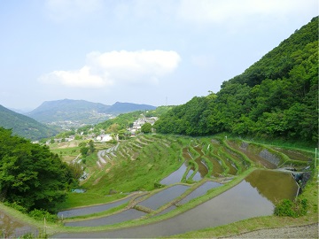 美しい里山に拡がる棚田