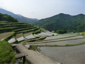 美しい里山に拡がる棚田