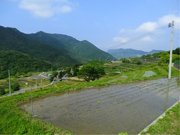 美しい里山に拡がる棚田