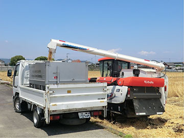 収穫したはだか麦のトラックへの積込