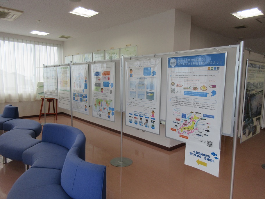 展示の様子