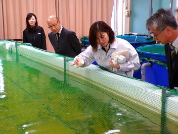 餌を求めて元気いっぱい