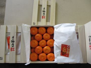 木箱に梱包された香川小原紅早生みかん
