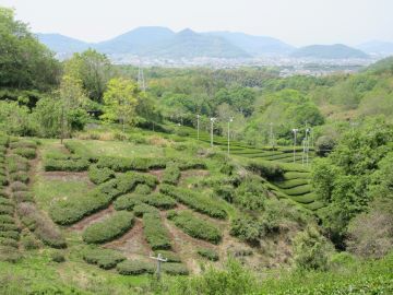茶文字