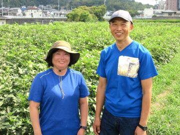 土居ご夫妻（オクラ畑にて）