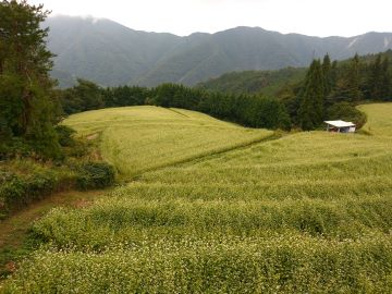 さぬき棚田２０選