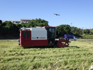  上空でとんびも視察中