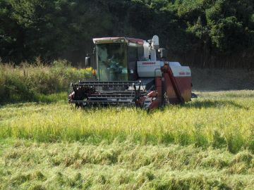 刈取りスピーディ