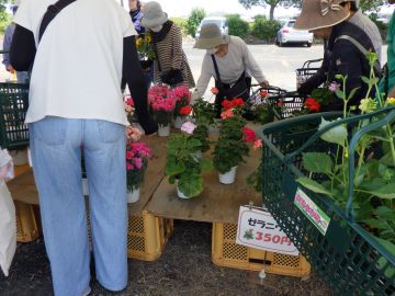 来場者で大賑わい
