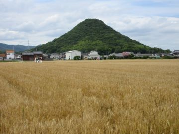 さぬきの夢2023