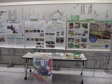 展示の様子