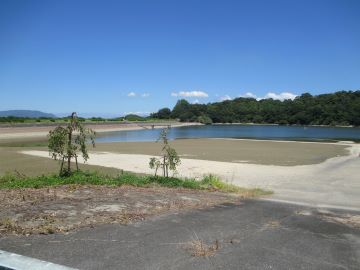 貯水量が減った井関池
