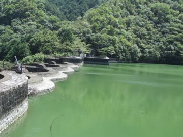 豊稔池の放流口