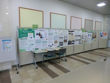 展示の様子