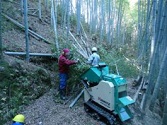 竹林整備の共同作業。竹の有効活用