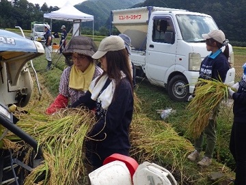 高知県立大学COME☆RISHの田植え体験