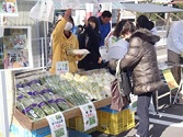 クールベジタブル野菜販売イベントの様子