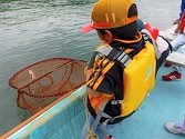 漁業体験の様子